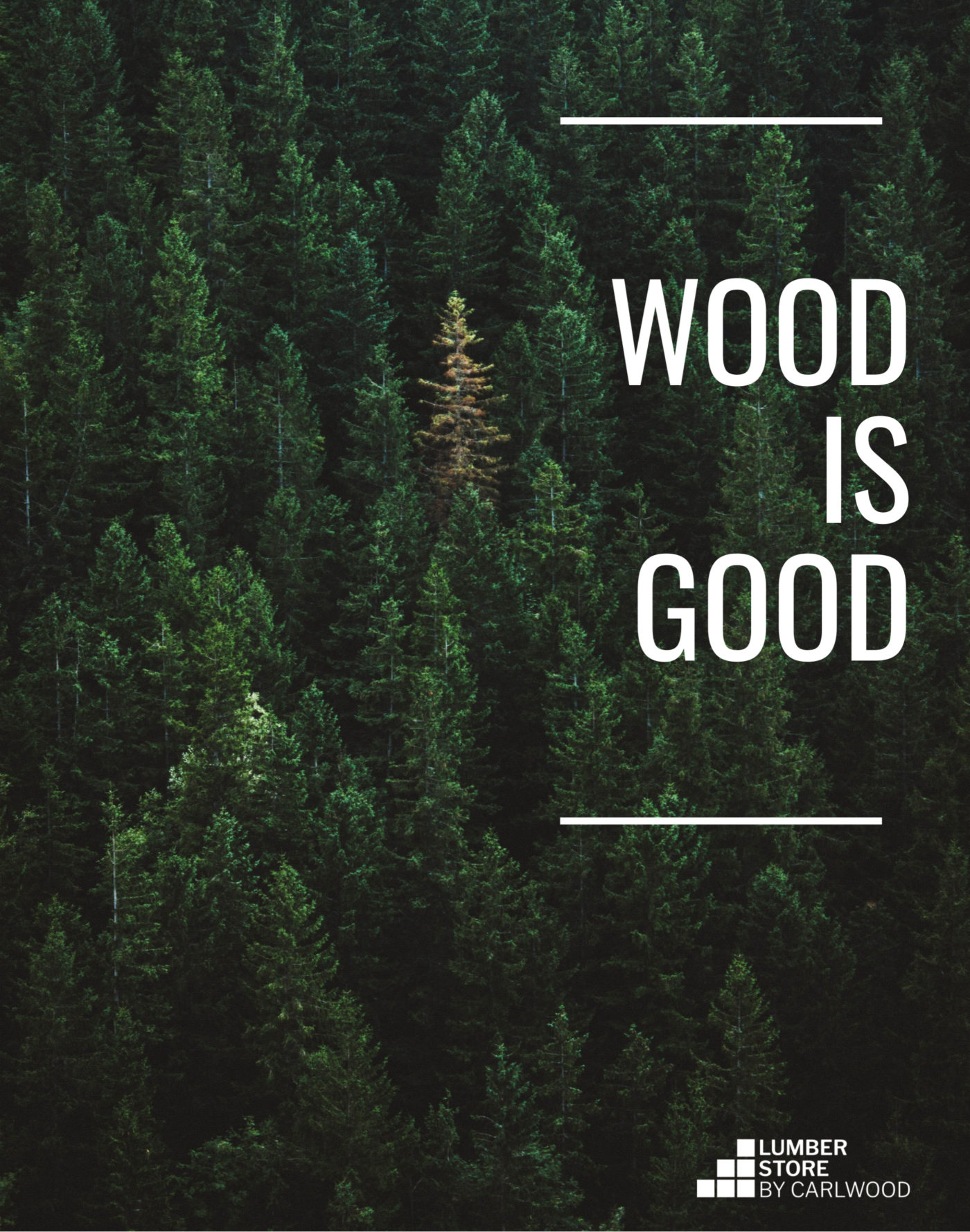 3 Reasons Why Wood Is Good! Lumberstore.ca