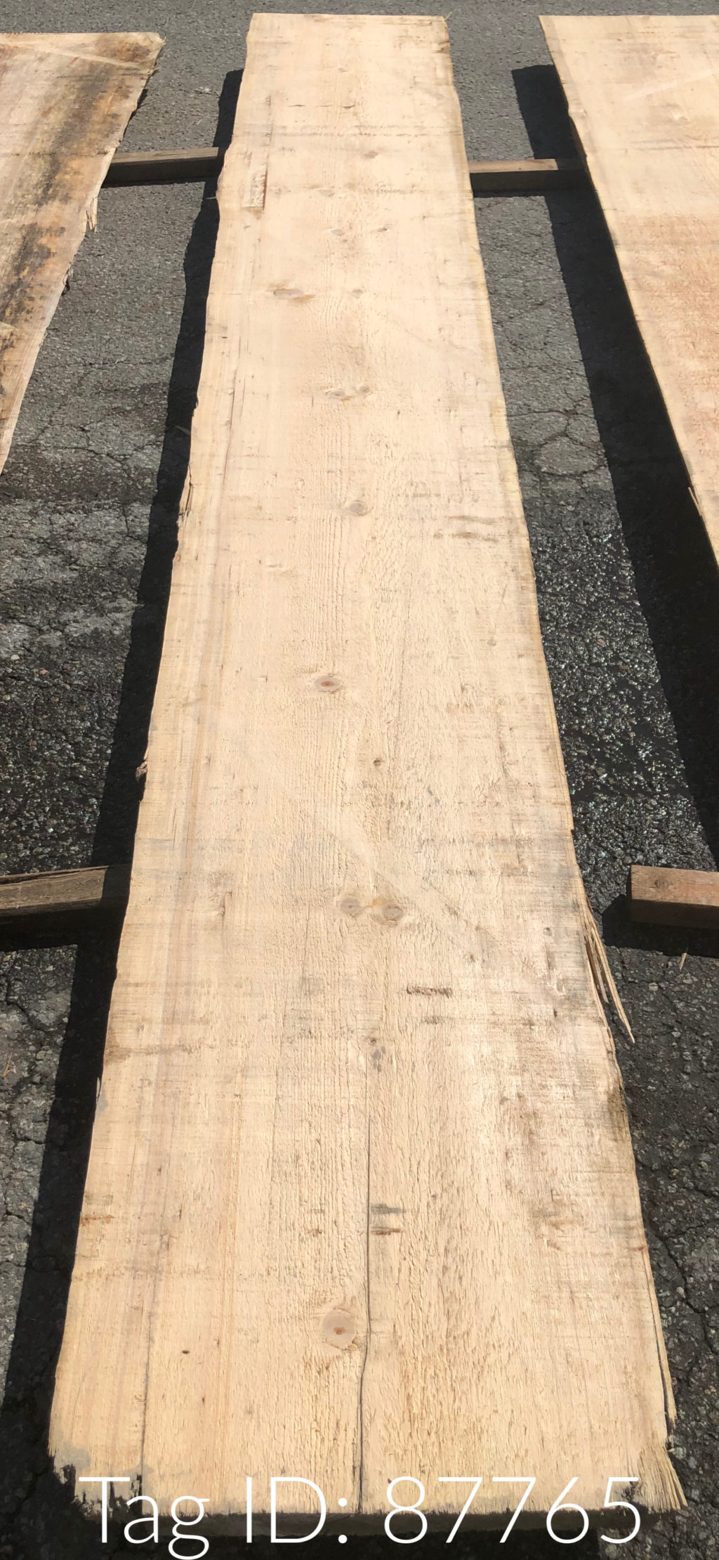 2-1/2″ x 20″ - 78″ Western Hemlock Teredo Slab | Lumberstore.ca